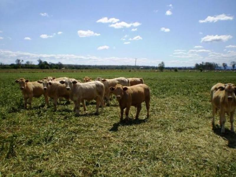 Laidley North QLD 4341