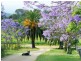 Laidley Creek West QLD 4341