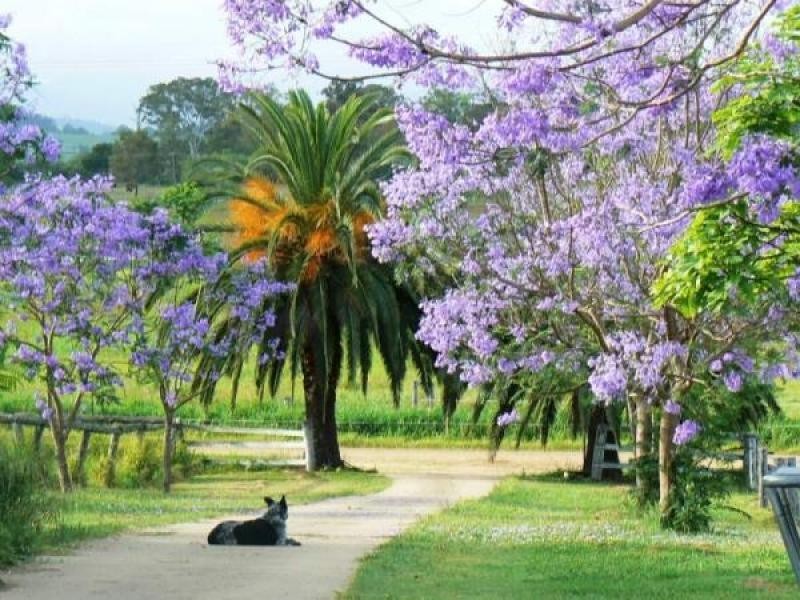 Laidley Creek West QLD 4341