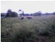 Summerholm QLD 4341