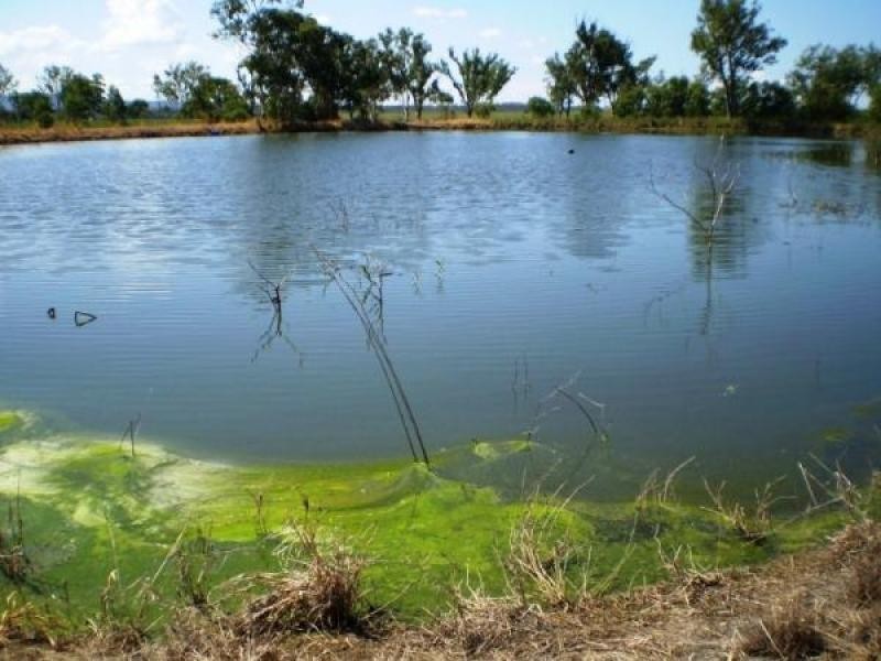 Lake Clarendon QLD 4343
