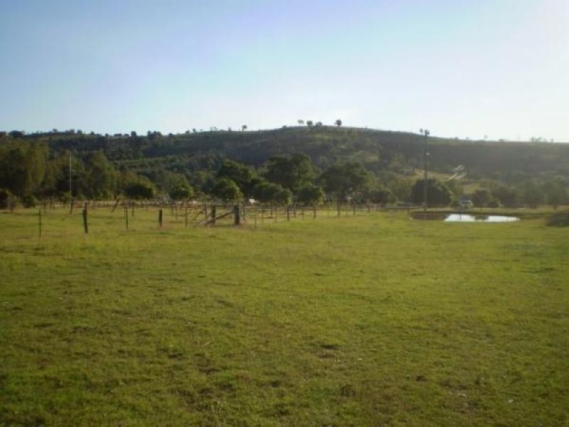 Summerholm QLD 4341