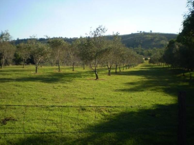 Summerholm QLD 4341