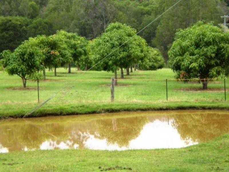 Summerholm QLD 4341