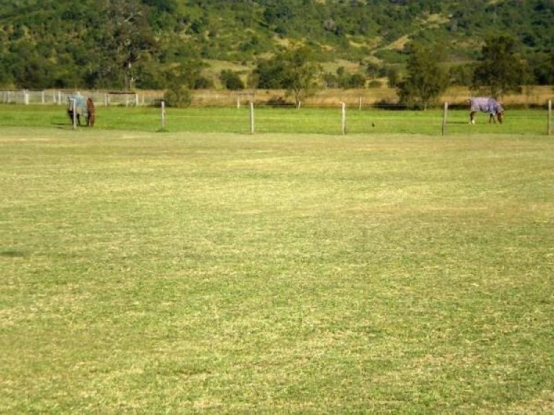 Summerholm QLD 4341