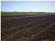Lynford QLD 4342