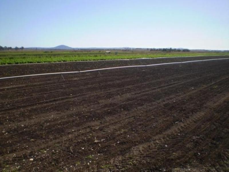 Lynford QLD 4342