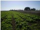 Lynford QLD 4342