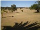 Regency Downs QLD 4341