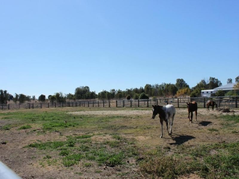 Forest Hill QLD 4342