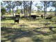Hatton Vale QLD 4341