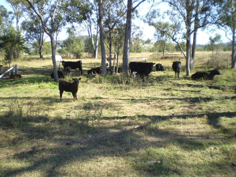 Hatton Vale QLD 4341