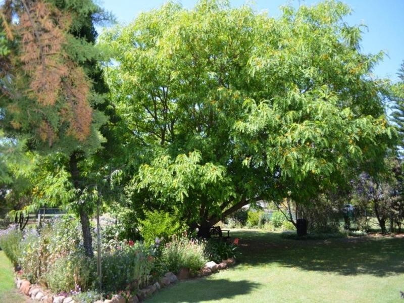 Summerholm QLD 4341