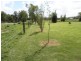 Summerholm QLD 4341