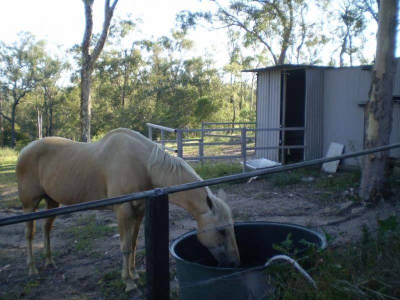 Kensington Grove QLD 4341