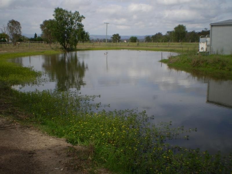 Plainland QLD 4341