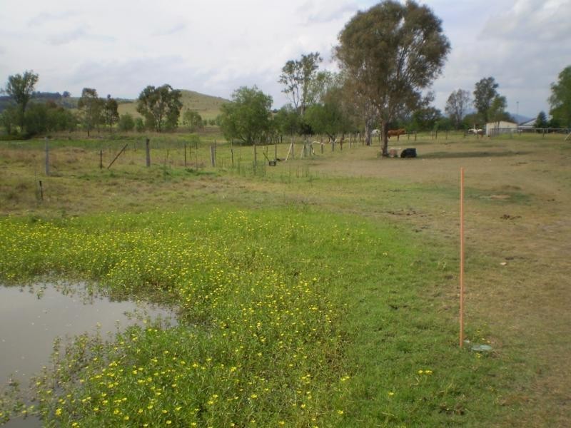 Plainland QLD 4341