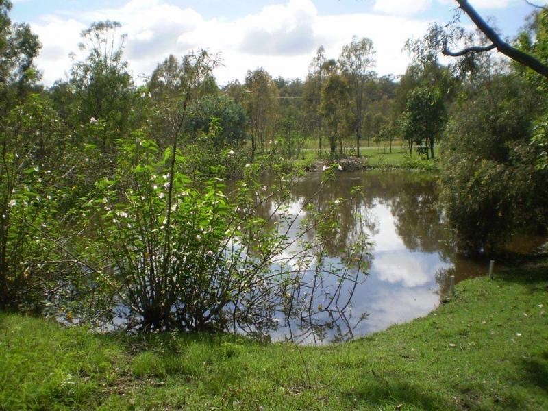 Regency Downs QLD 4341