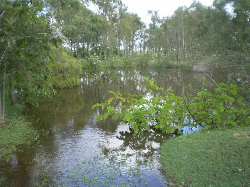 Regency Downs QLD 4341