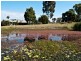 Regency Downs QLD 4341