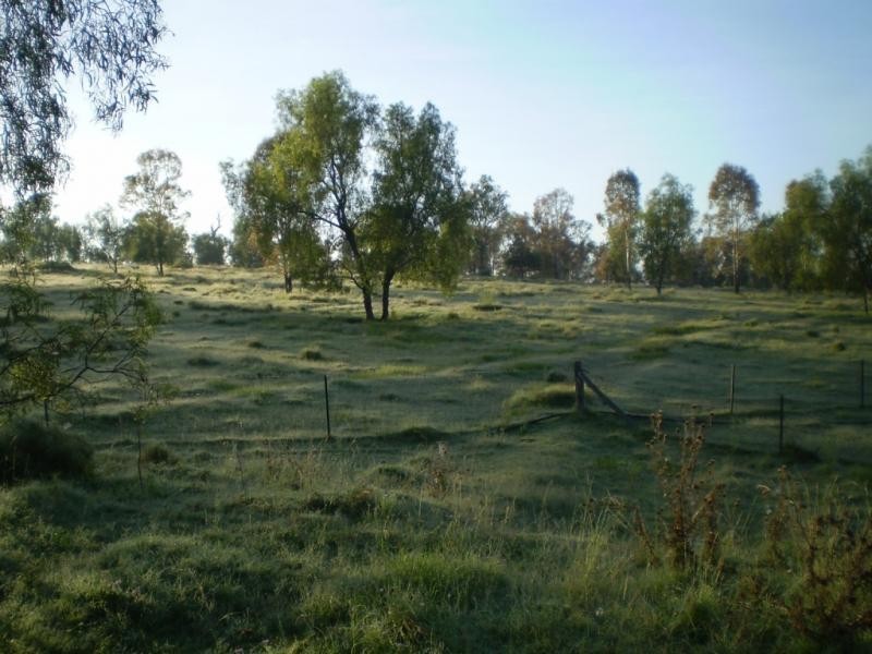 Lower Tenthill QLD 4343