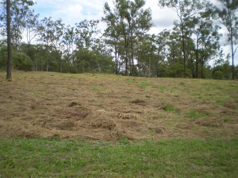 Regency Downs QLD 4341