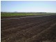 Lynford QLD 4342