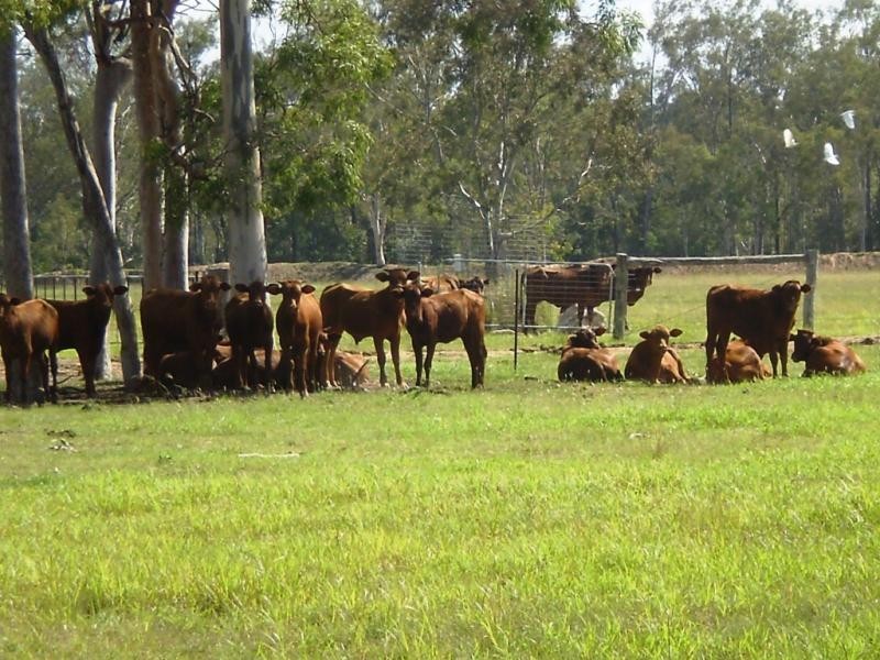 Morton Vale QLD 4343