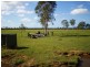 Morton Vale QLD 4343