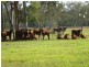 Morton Vale QLD 4343