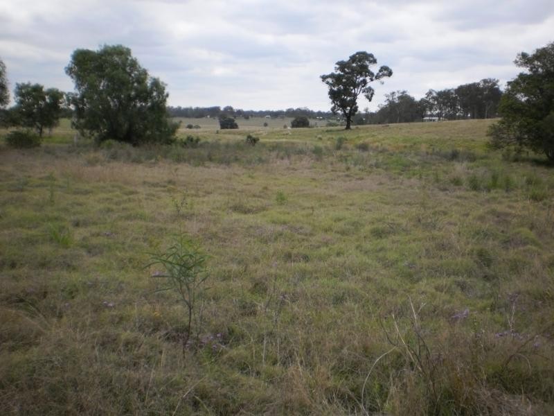 Regency Downs QLD 4341