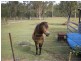 Kensington Grove QLD 4341