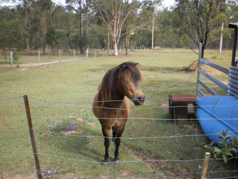 Kensington Grove QLD 4341