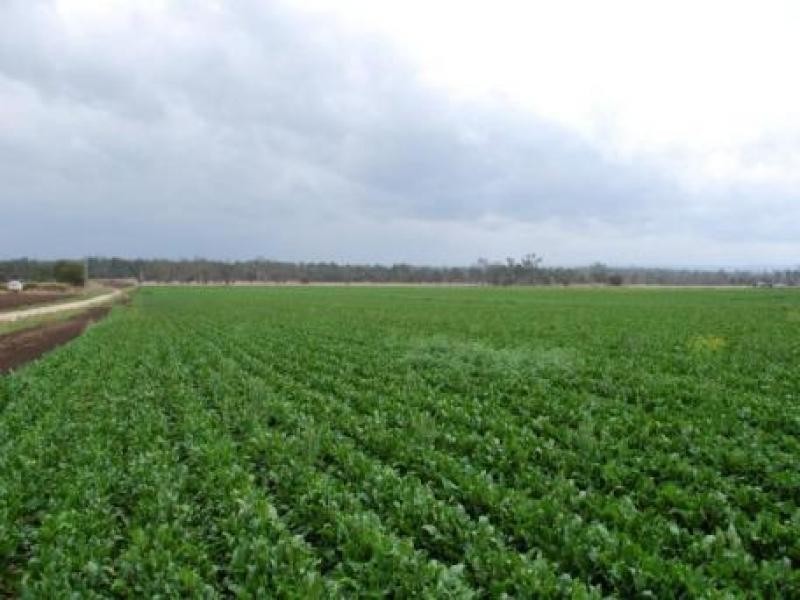 Forest Hill QLD 4342