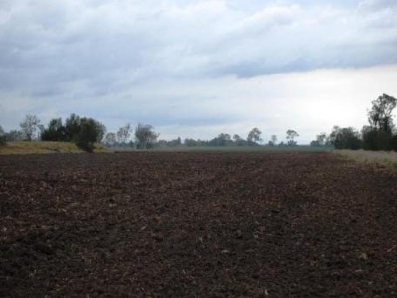 Forest Hill QLD 4342