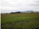 Tarampa QLD 4311
