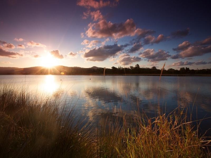 37 TEMPLE ISLAND CIRCUIT, Oxenford QLD 4210