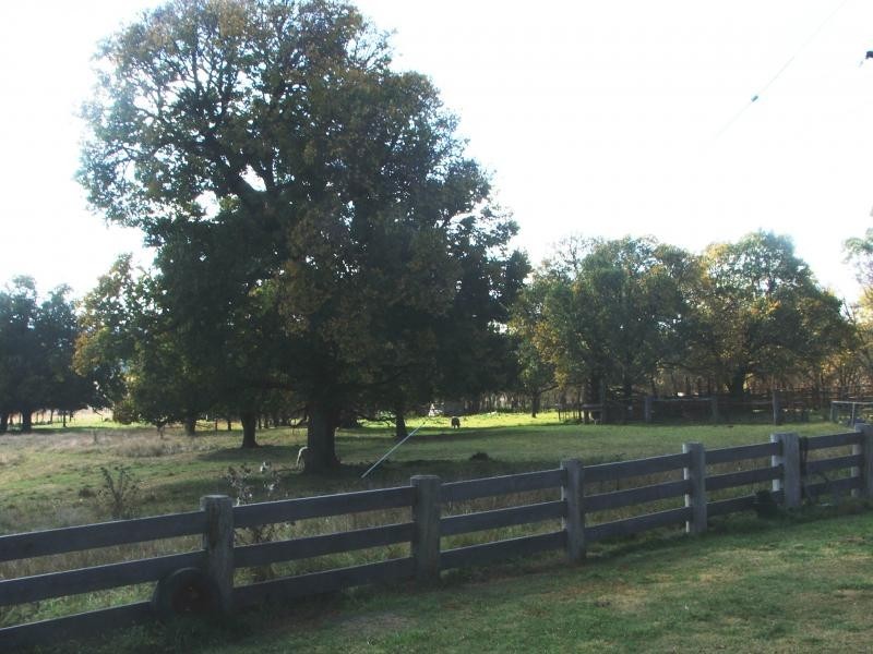 571 Herbert Park Road, Armidale NSW 2350