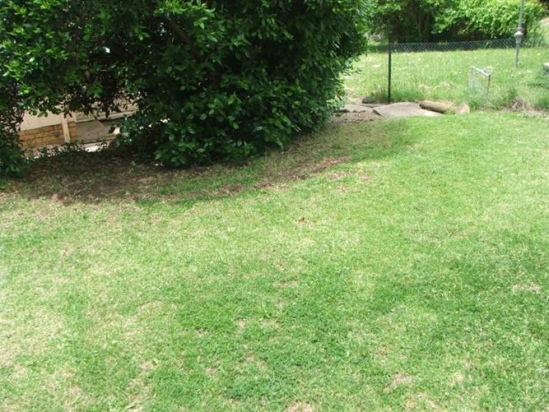 43B Garabaldi Street, Armidale NSW 2350