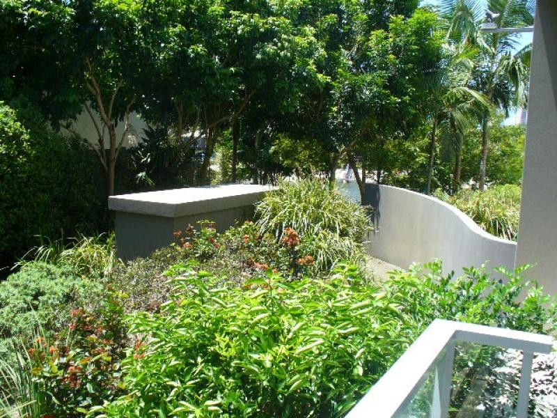 2003/33 T E Peters Drive, Broadbeach Waters QLD 4218