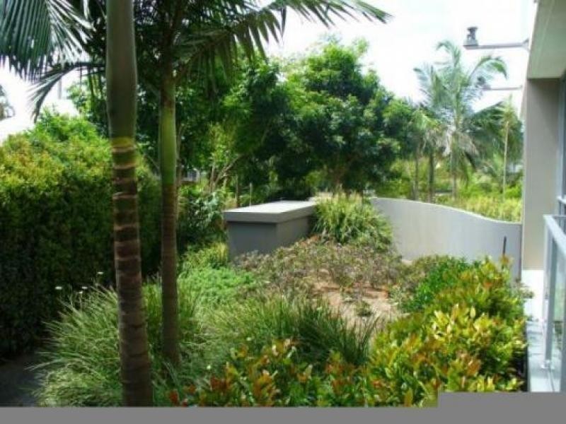 33 TE Peters Drive, Broadbeach QLD 4218