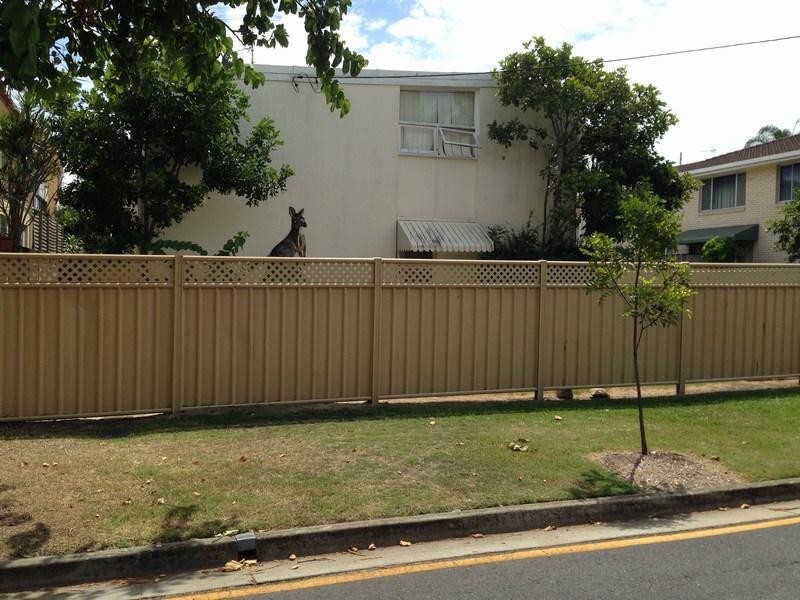 4/30 Leonard Avenue, Surfers Paradise QLD 4217