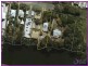42 Edward Street, Caboolture QLD 4510