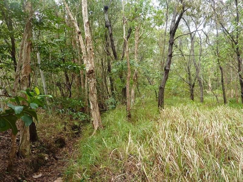 Lot 21 Kamma Pine Creek Road, East Trinity QLD 4871