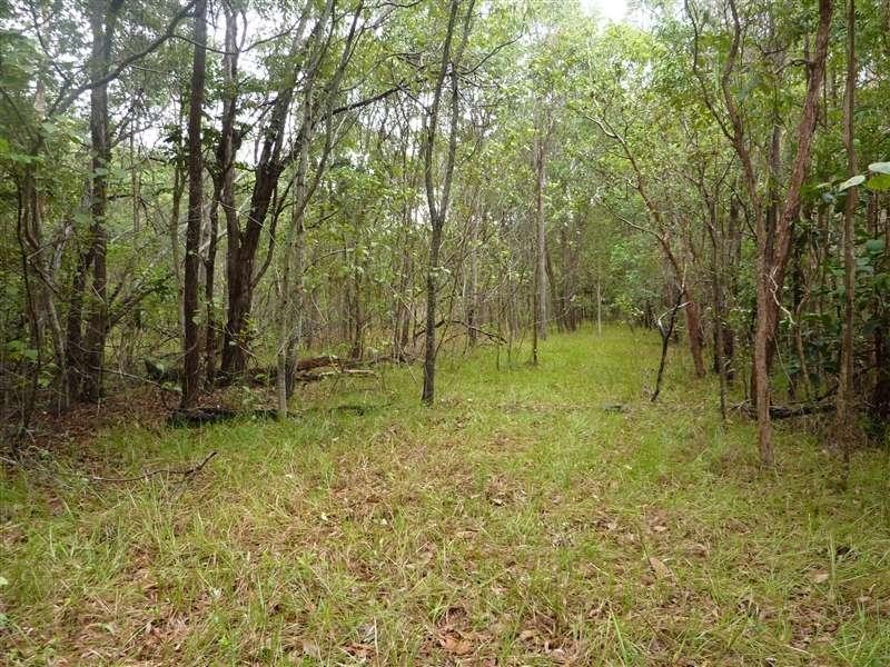 Lot 21 Kamma Pine Creek Road, East Trinity QLD 4871