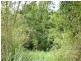 Lot 15 Golden Street, Goldsborough QLD 4865