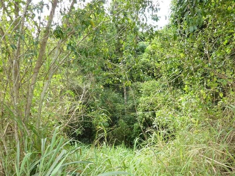 Lot 15 Golden Street, Goldsborough QLD 4865