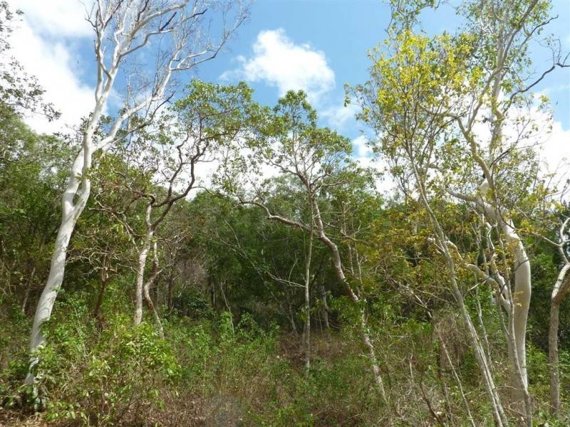 3 Seclusion Drive, Palm Cove QLD 4879