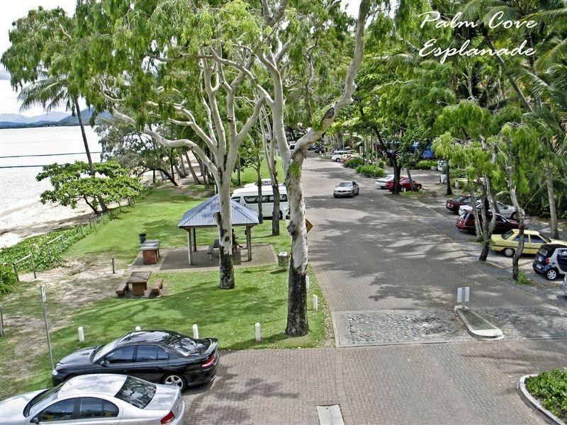 3 Seclusion Drive, Palm Cove QLD 4879