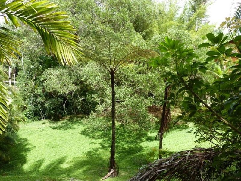 18 Rob Veivers Drive, Kuranda QLD 4881